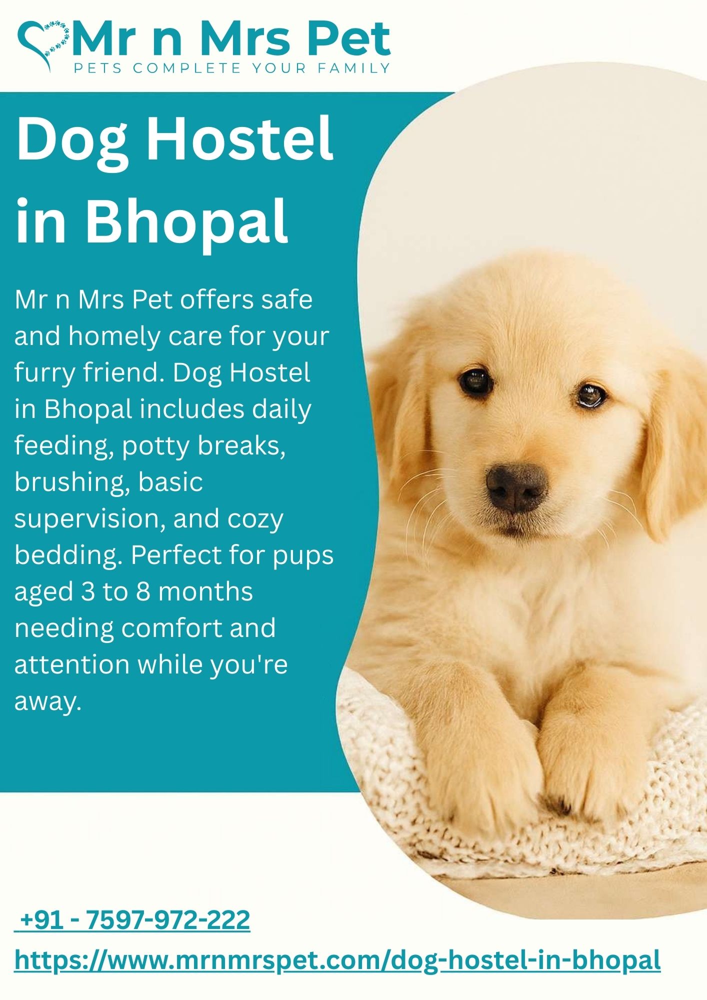Dog Hostel in Bhopal